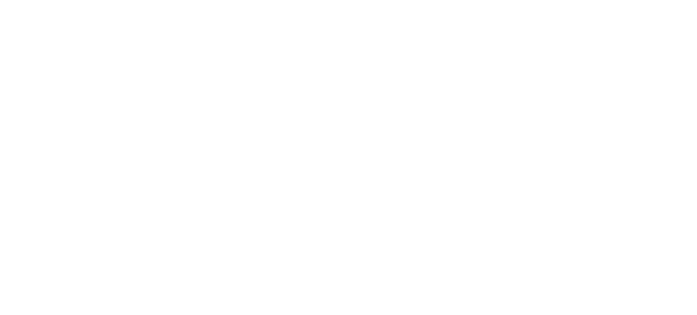 Nordic Cowboys